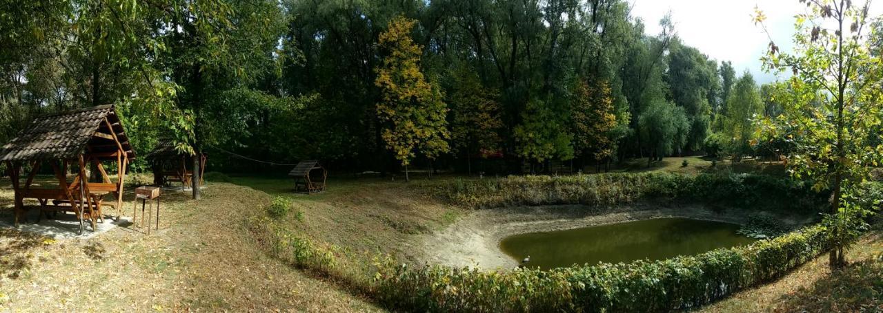 Zolotoy Bereg Hotel Černihiv Esterno foto